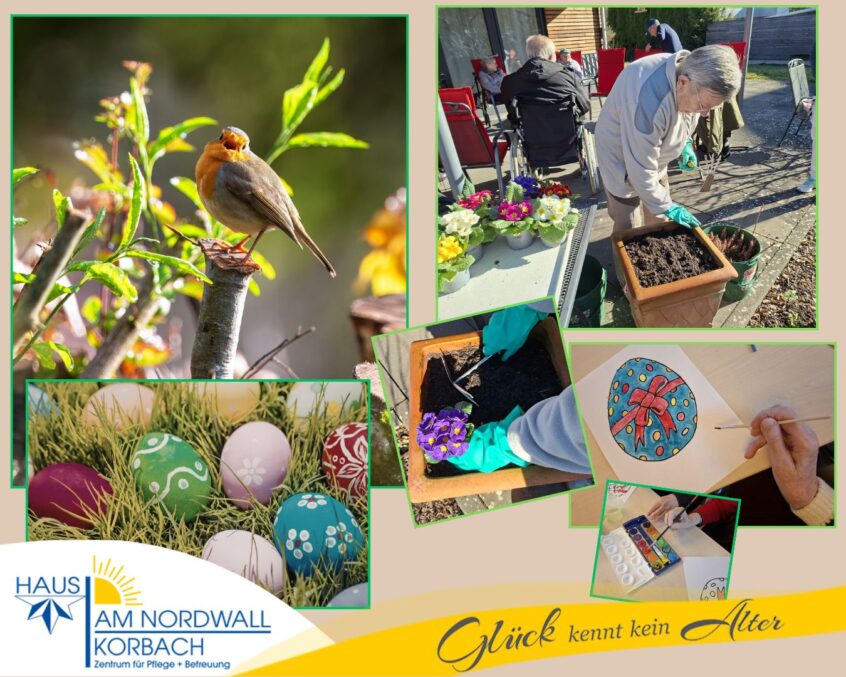 Collage mit Frühlingsbildern