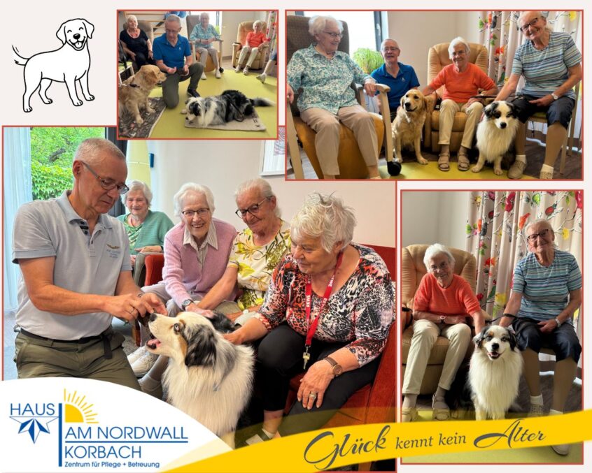 Therapiehund Cooper mit Senioren